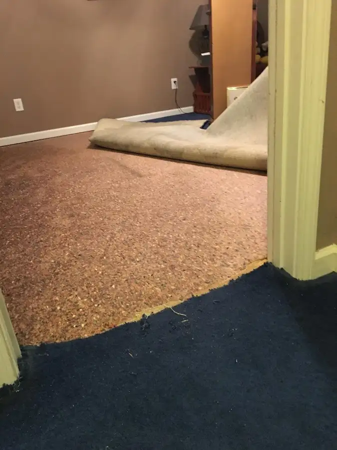 Carpet pad removal revealing water damage during Drying & Dehumidification in Guilderland
