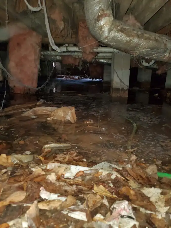 Crawl space flood assessment for Leak Detection & Repair in Guilderland